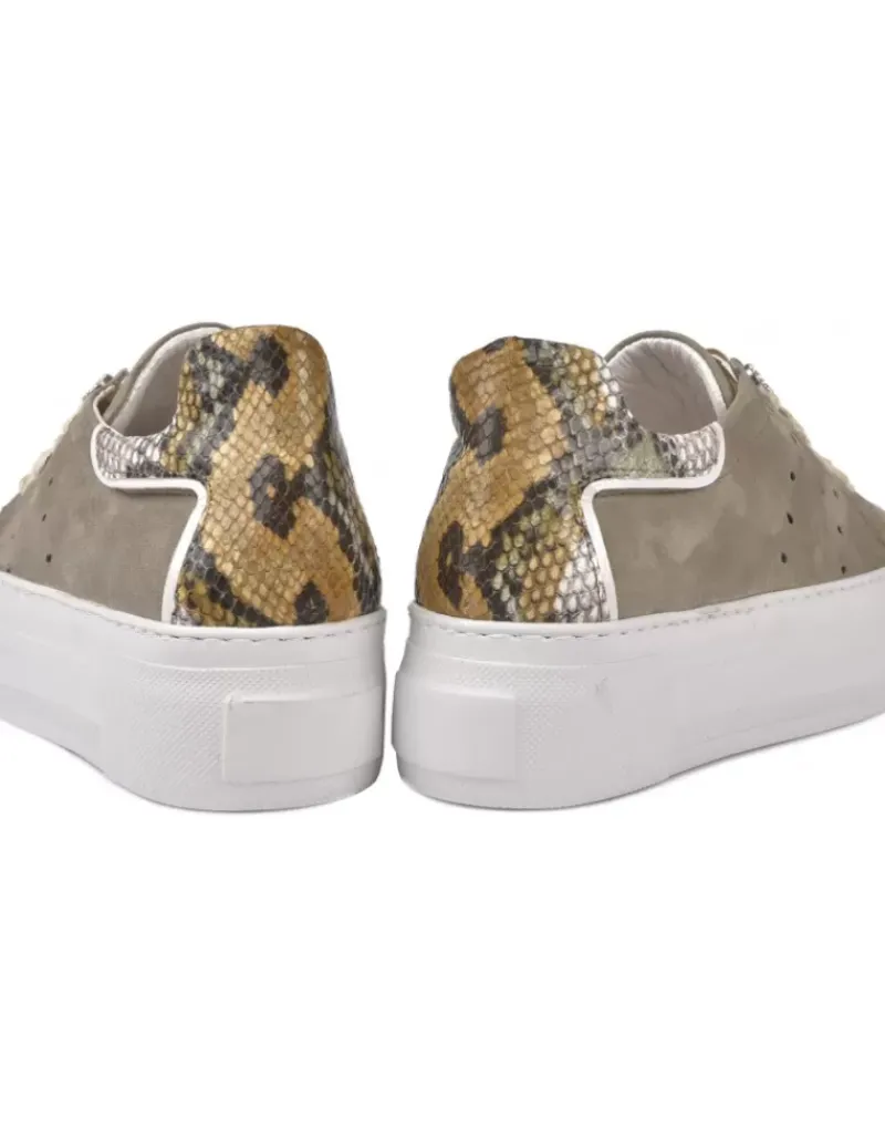 Alpe First^Women Sneakers Casual