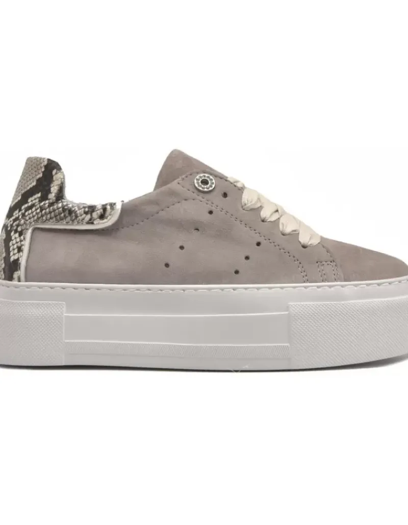 Alpe First^Women Sneakers Casual